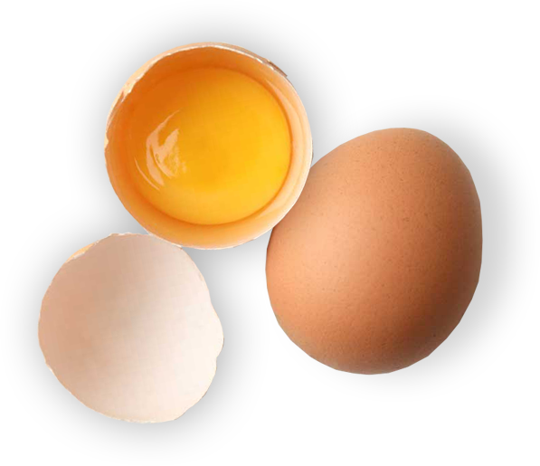 Vejce pro výrobu těstovin